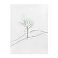 thumbnail image 1 of Modern Botanical Line Art - Line Drawing Line Art Minimalist Nature Black and White Abstract Botanical Landscape Unframed Wall Art Print 9 x 12 inches, 1 of 4