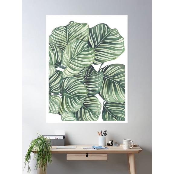 Modern Calathea Plant 2 Poster Wall Art, Modern Wall Decor For Living Room Bedroom, 12x18 UNFRAMED