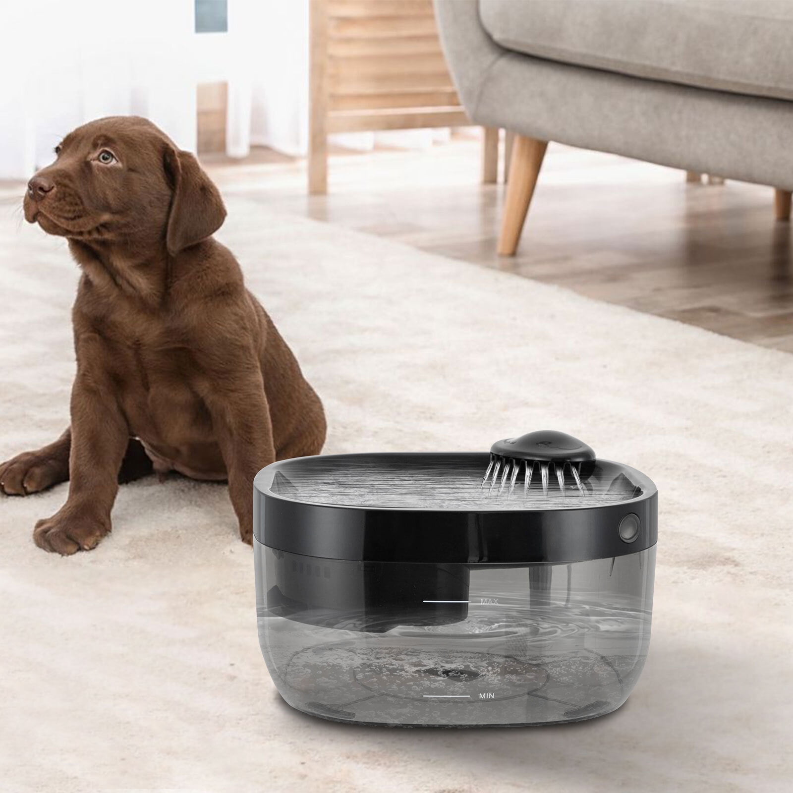Modern Cat Water Fountain Pet Water Fountain Cat Drinking Fountain Black 7L Stainless Steel Pet Water Fountain for Cats Dogs with Motion Sensor