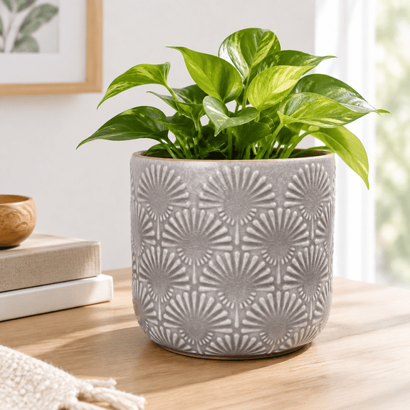 Modern Ceramic Pots For 6.7" Nordic Planters Indoor