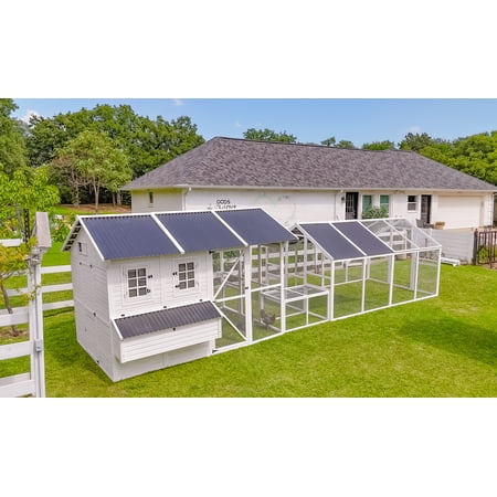 Modern Chicken Barn Coop With Large Poultry Pen & Coop Connection