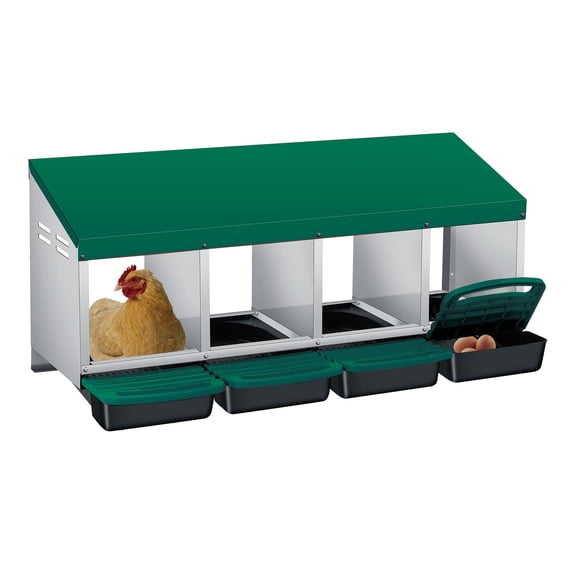 Modern Chicken Nesting Box - 4-Hole Wall Mount with Rollout Egg System & Removable Clean-Out Tray