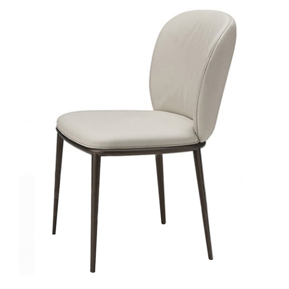 Modern Dining Chair Home Office Chairs Unique Backrest Chair, Desk Chair Luxury Stools Chairs for Dining Room, Ergonomic Office Chair Desk Chairs for Bedroom, Balcony