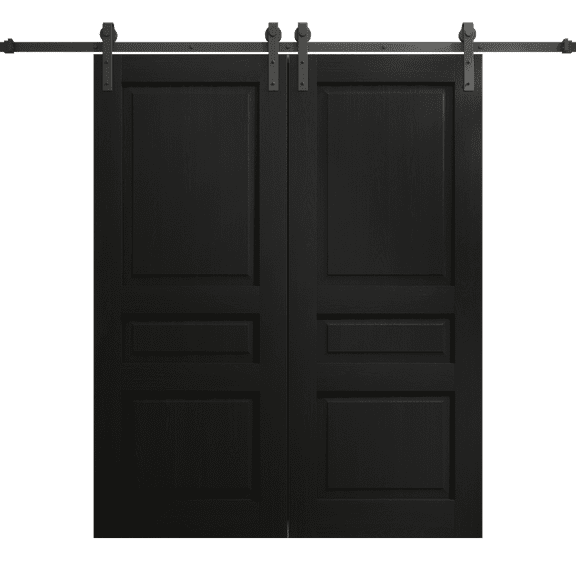Modern Double Barn Door 36 x 80 inches | Ego 5012 Painted Black Oak | 13FT Rail Track Set | Solid Panel Interior Doors