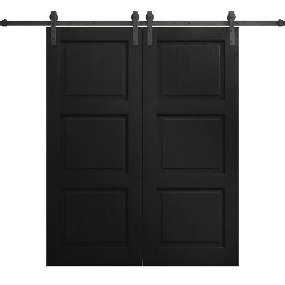 Modern Double Barn Door 48 x 80 inches | Ego 5010 Painted Black Oak | 13FT Rail Track Set | Solid Panel Interior Doors
