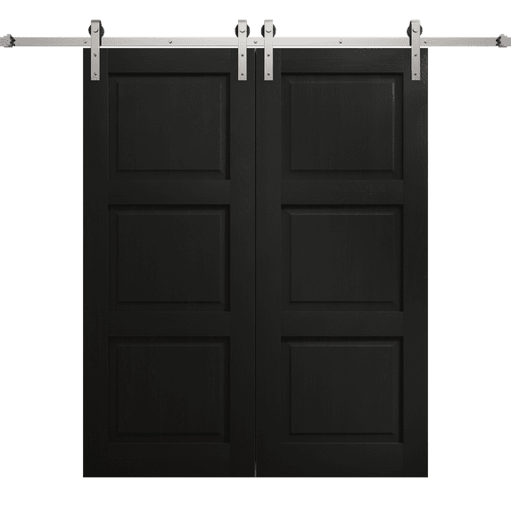 Modern Double Barn Door 48 x 80 inches | Ego 5010 Painted Black Oak | 13FT Silver Rail Track Set | Solid Panel Interior Doors