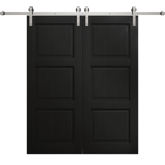Modern Double Barn Door 48 x 84 inches | Ego 5010 Painted Black Oak | 13FT Silver Rail Track Set | Solid Panel Interior Doors