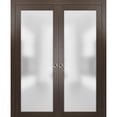thumbnail image 1 of Modern Double Pocket Closet Glass Doors 48 x 80, 1 of 7