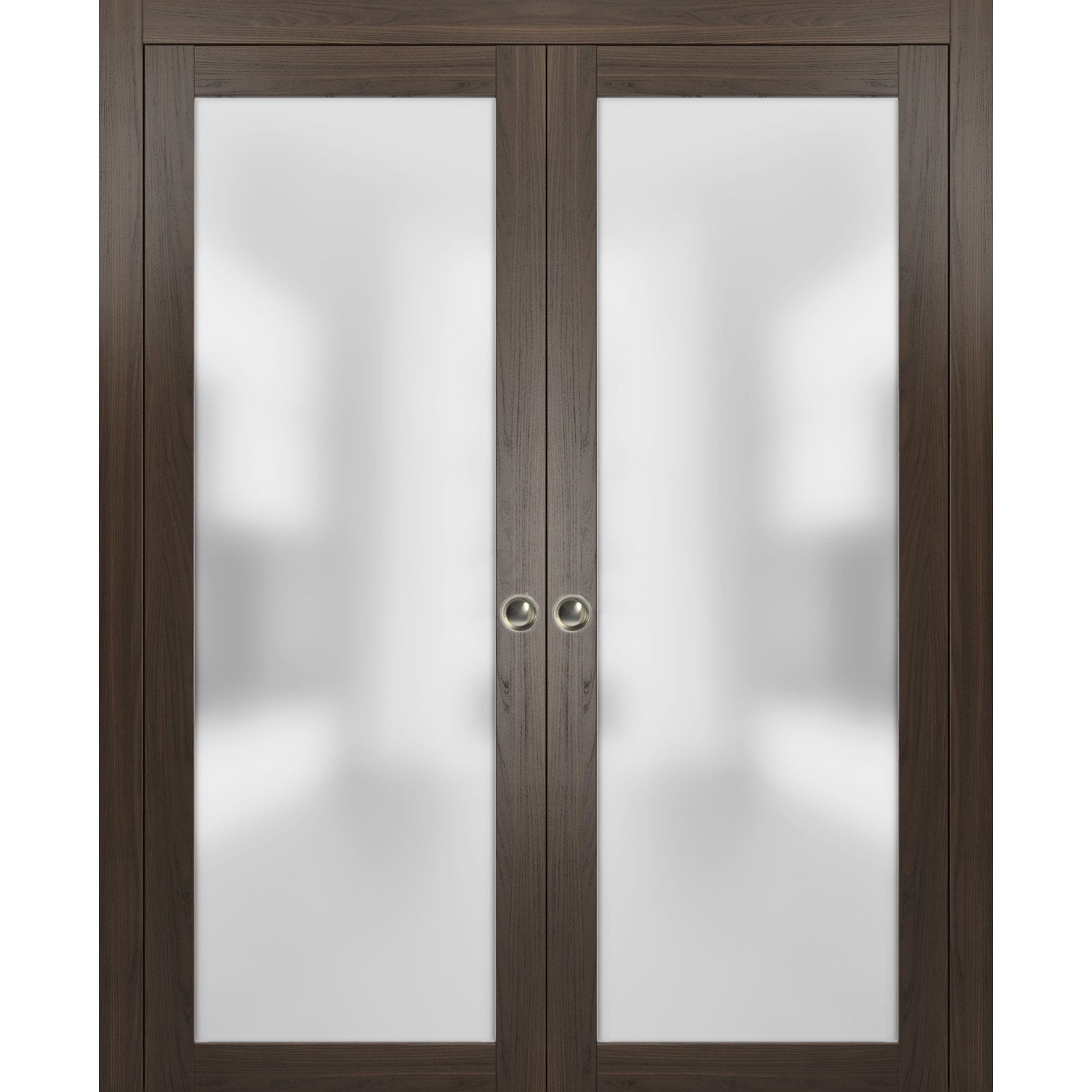 Modern Dark Brown Double Pocket Doors with Frosted Glass