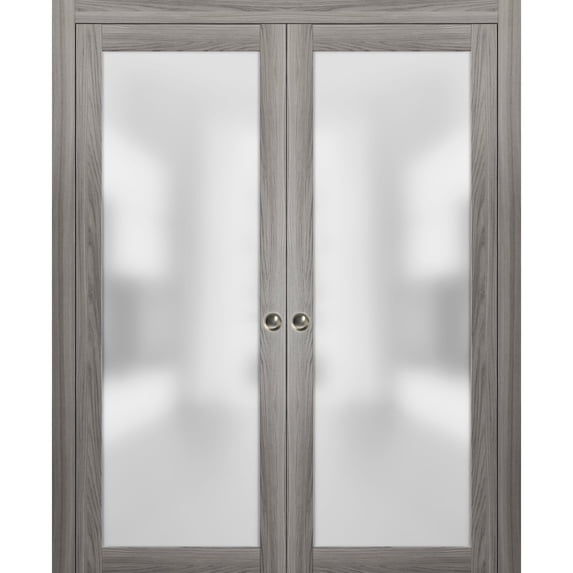 Modern Double Pocket Closet Glass Doors 60 x 84