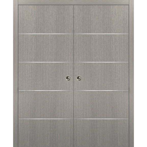 Modern Double Pocket Doors 64 x 80 with Frames
