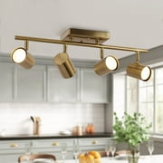 Modern Farmhouse 4-Light Adjustable Linear Ceiling Track Lighting Kit Flush Mount Ceiling Light Gold Brass Painted,Polished Brass,Gold,Copper