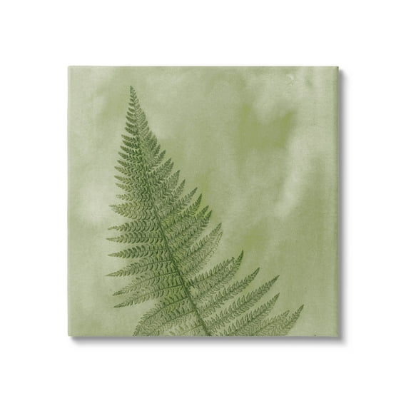 Modern Fern Nature Plant Botanical & Floral Graphic Art Gallery Wrapped Canvas Print Wall Art