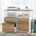 Modern File with Drawers for LetterSized File and Door