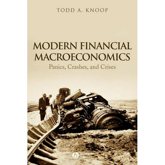 Modern Financial Macroeconomics: Panics, Crashes, and Crises, (Paperback)