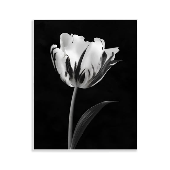 Stupell Industries Modern Flower Stark Black Wall Plaque Art, design by CAD Designs, 14 x 11