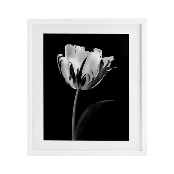 Stupell Industries Modern Flower Stark Black White Framed Print Under Glass, design by CAD Designs, 16 x 13
