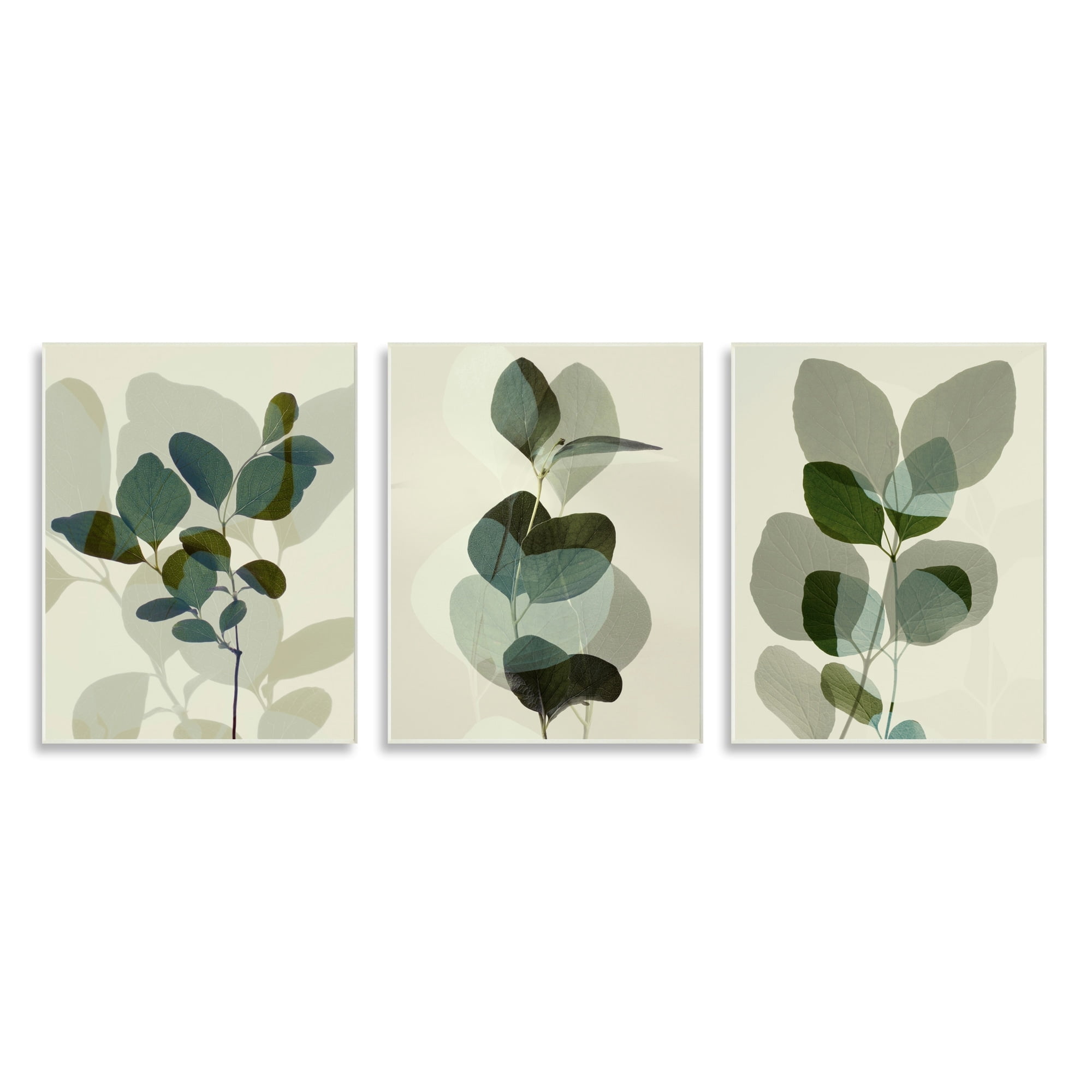 Modern Forest Plant Overlapping Foliage Shadows 10 in x 15 in Framed Painting Art Prints, by Stupell Home Décor Set of 3