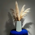thumbnail image 1 of Modern Geometric Flower Vase for Pampas Grass Dried Flowers Waterproof Small Decorative Vase for Home Decor,Living Room, Farmhouse,Office Centerpiece for Tables,Shelves Wedding Decor, 1 of 3