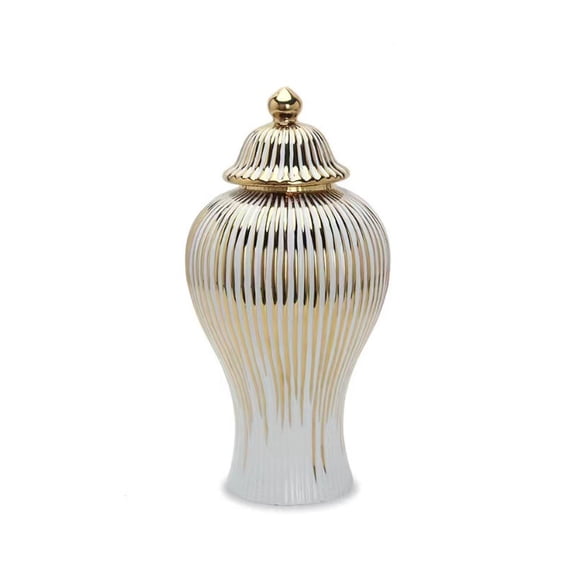 Modern Ginger Jar Storage Vase With Lid Decorative Tabletop Collectible Large Capacity Home Decor Ceramic Decorative Jars Ginger Jars