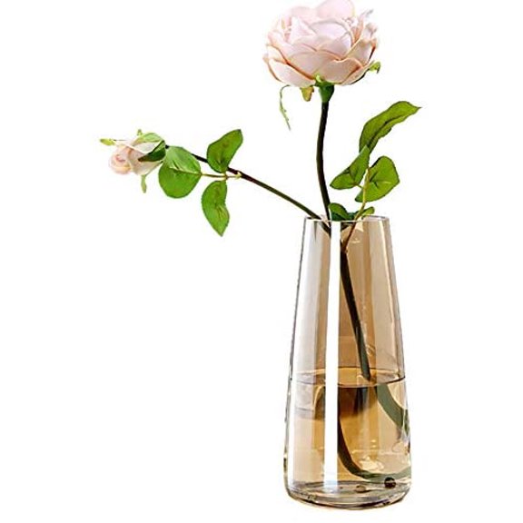Modern Glass Vase Irised Crystal Clear Glass Vase for Home Office Decor (Crystal Amber)