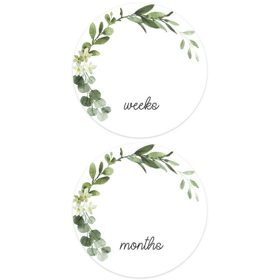 Modern Greenery Pregnancy Milestone Sign / 10" Round Dry Erase Baby Sign / Botanical Gender Neutral Newborn Infant Circle Photo Prop / Made In The USA