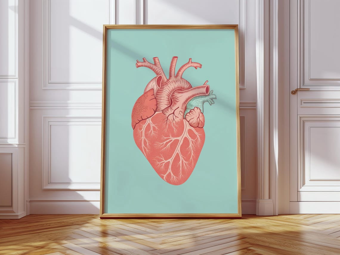 Modern Heart Colorful Anatomy Illustration Vintage Style Graphic Retro ...