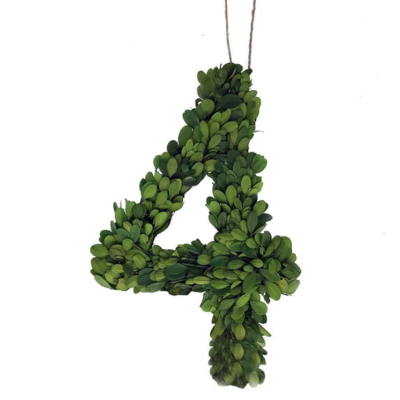 Modern Home 12" Real Preserved Boxwood Monogram Wreath Letters - 4