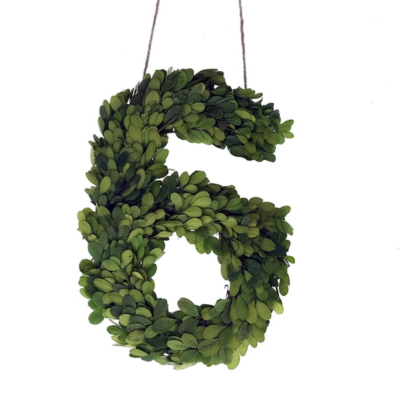 Modern Home 12" Real Preserved Boxwood Monogram Wreath Letters - 6