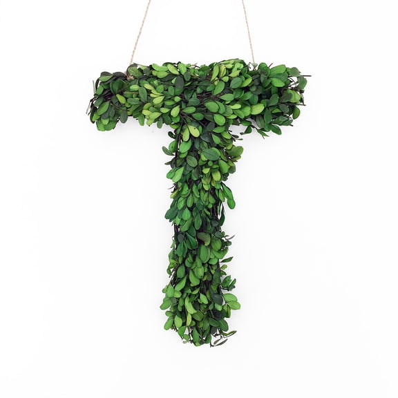 Modern Home 12" Real Preserved Boxwood Monogram Wreath Letters - T
