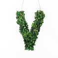 thumbnail image 1 of Modern Home 12" Real Preserved Boxwood Monogram Wreath Letters - V, 1 of 5