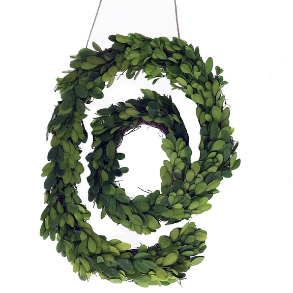 Modern Home 12" Real Preserved Boxwood Monogram Wreath Letters - @