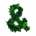thumbnail image 1 of Modern Home 12" Real Preserved Boxwood Monogram Wreath Letters - &, 1 of 5