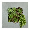 thumbnail image 1 of Modern Home Living Wall Galvanized Steel/Zinc Succulent Planter (Aged Zinc, 4 Pocket), 1 of 6