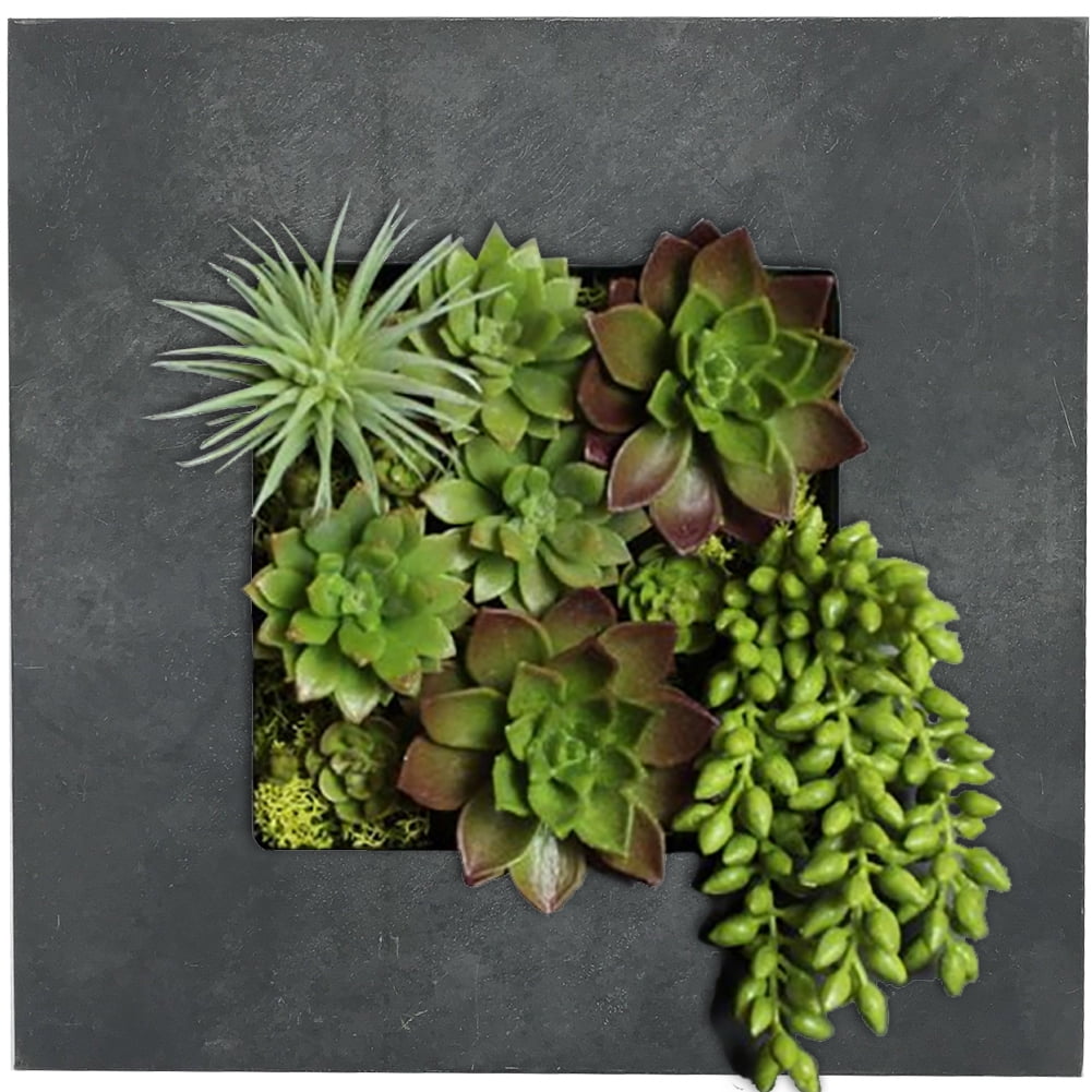 Black Zinc 4-Pocket Galvanized Steel Living Wall Planter