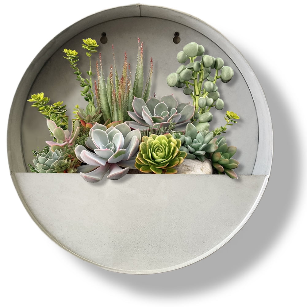 Modern Home  Round Living Wall Mounted Galvanized Steel/Zinc Succulent/Herb Planter - Indoor/Outdoor Living Art Potting Vessel Aged Zinc - Large 15" x