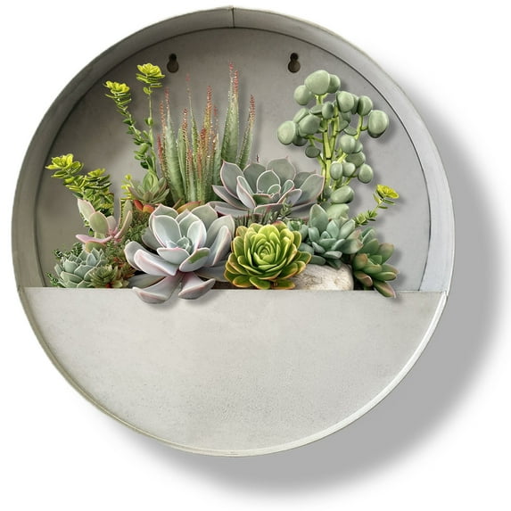 Modern Home Round Living Wall Mounted Galvanized Steel/Zinc Succulent/Herb Planter - Indoor/Outdoor Living Art Potting Vessel Aged Zinc - Large 15" x