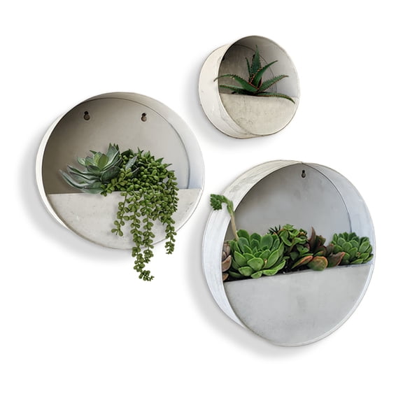 Modern Home Round Living Wall Mounted Galvanized Steel/Zinc Succulent/Herb Planter - Indoor/Outdoor Living Art Potting Vessel Aged Zinc - Set of 3