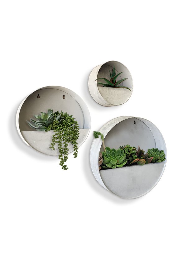 Modern Home Round Living Wall Mounted Galvanized Steel/Zinc Succulent/Herb Planter - Indoor/Outdoor Living Art Potting Vessel Aged Zinc - Set of 3