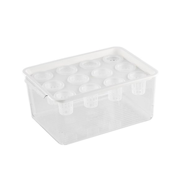 Modern Hydroponic Growing Container Box For Water Based Gardening And Home Use