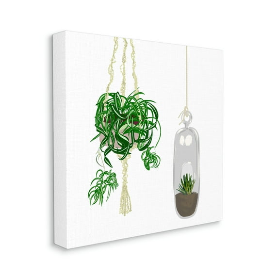 Modern Indoor Potted Greenery Spider Plant Terrarium Botanical & Floral Gallery-Wrapped Canvas Print Wall Art, 17x17