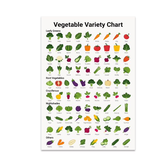Modern Infographic Vegetable Variety Chart - Plant Enthusiast - 13x19 Poster Print