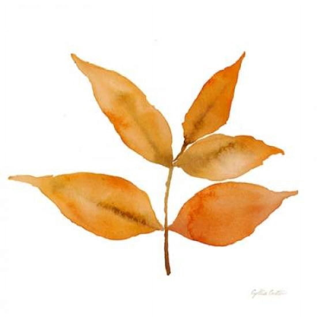 Modern Leaf Study on White I Canvas Art - Cynthia Coulter (24 x 24)