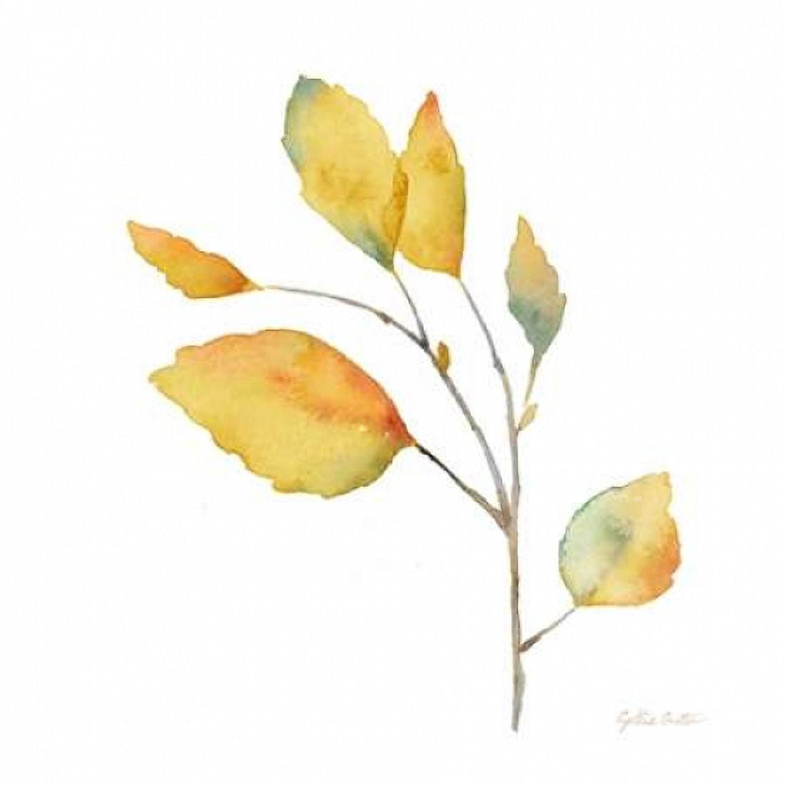 Modern Leaf Study on White II Canvas Art - Cynthia Coulter (24 x 24)