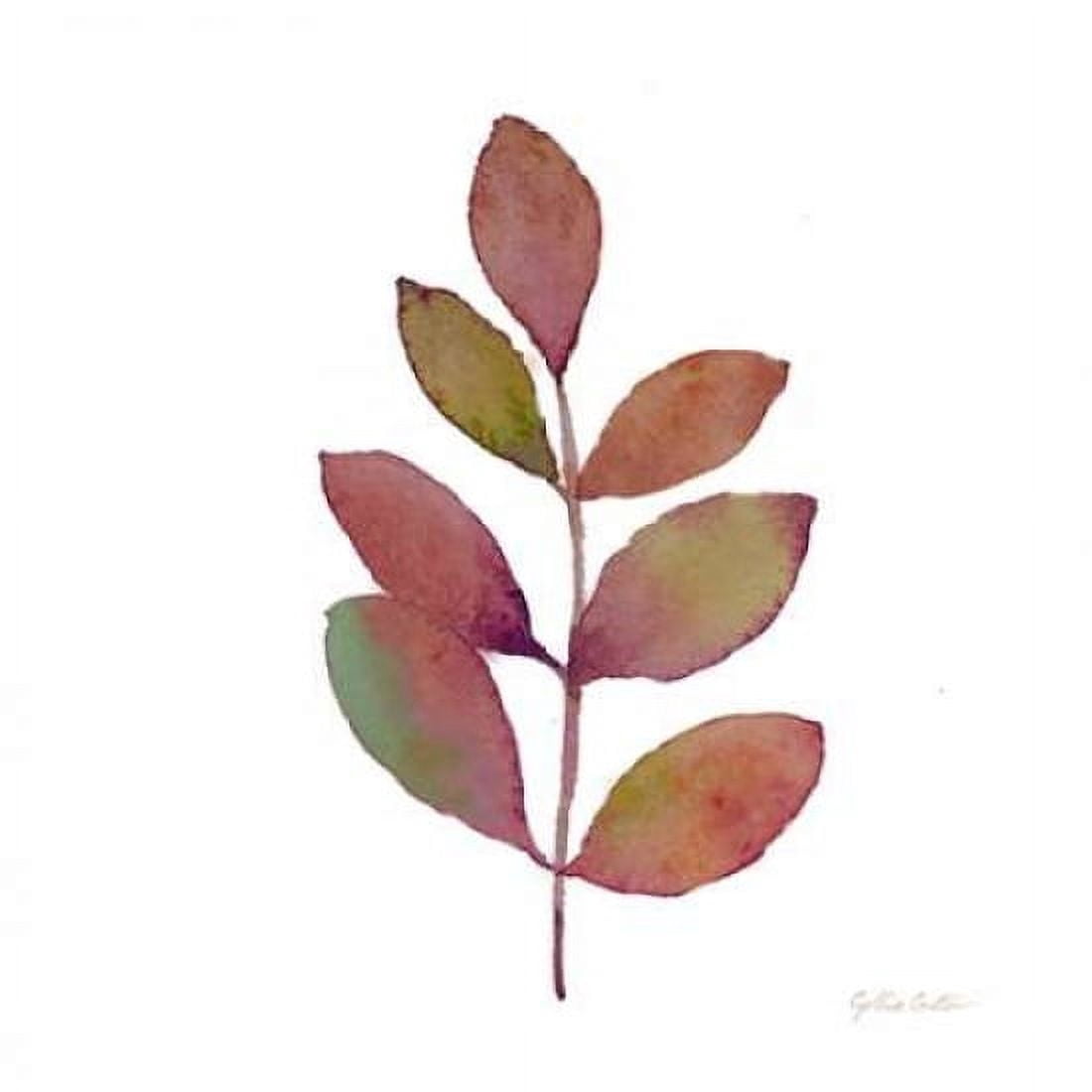 Modern Leaf Study on White III Canvas Art - Cynthia Coulter (24 x 24)