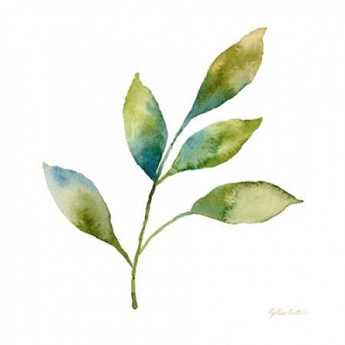 Modern Leaf Study on White IV Canvas Art - Cynthia Coulter (24 x 24)