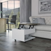 Modern Lift Top Coffee Table With Secret Place Spot, 21.6 W X 19.6 D Wide Surface, Smart Locking Wheel Configuration, 15.3 H D, Multicolor For Main Living Space Chamber, Area,