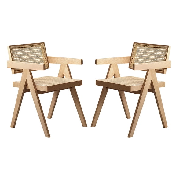 Modern Mid Century Rattan Accent Chairs Set of 2 Comfy Wood
