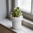 thumbnail image 1 of Modern Minimalist Flowers Plant Pot With Drainage Hole Indoor Outdoor Decorative Flower Planter For Cactus Herbs Small Plants Desktop Decor, 1 of 6