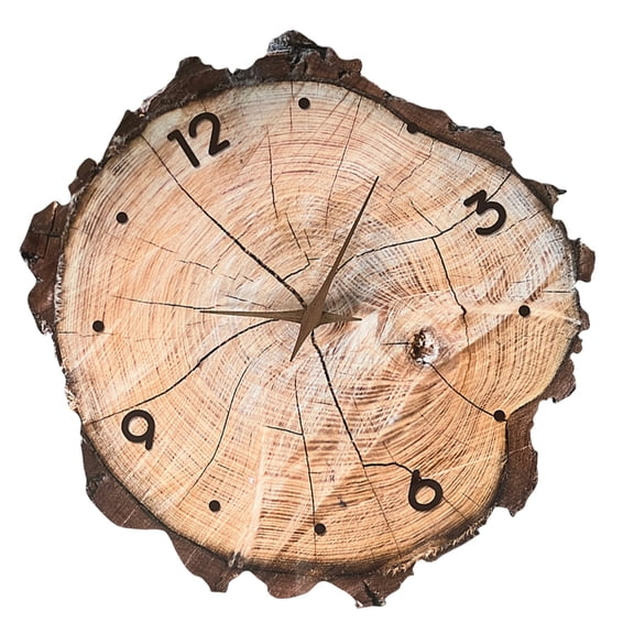 Modern Minimalists Wood Grains Annual Rings Print Wall Clock Quiet Not Ticking for Living Room Battery Operated